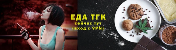 твердый Заводоуковск