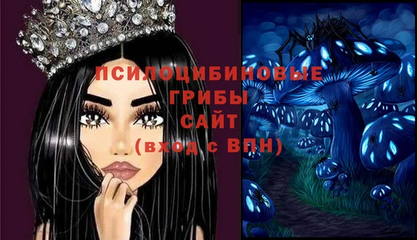 амф Зеленокумск