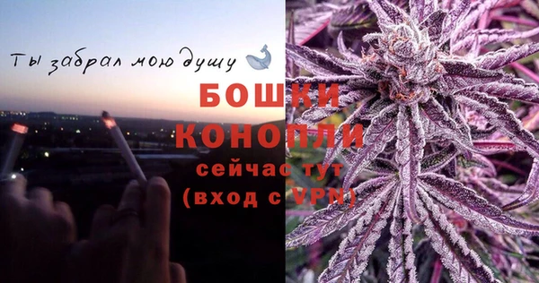 стаф Зеленодольск